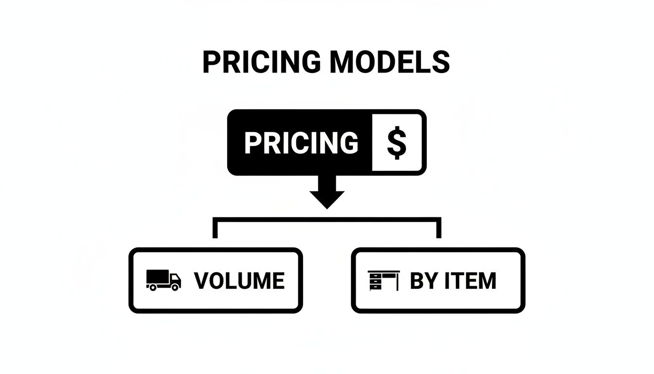 A diagram illustrating pricing models, showing options for volume-based and by-item pricing methods.