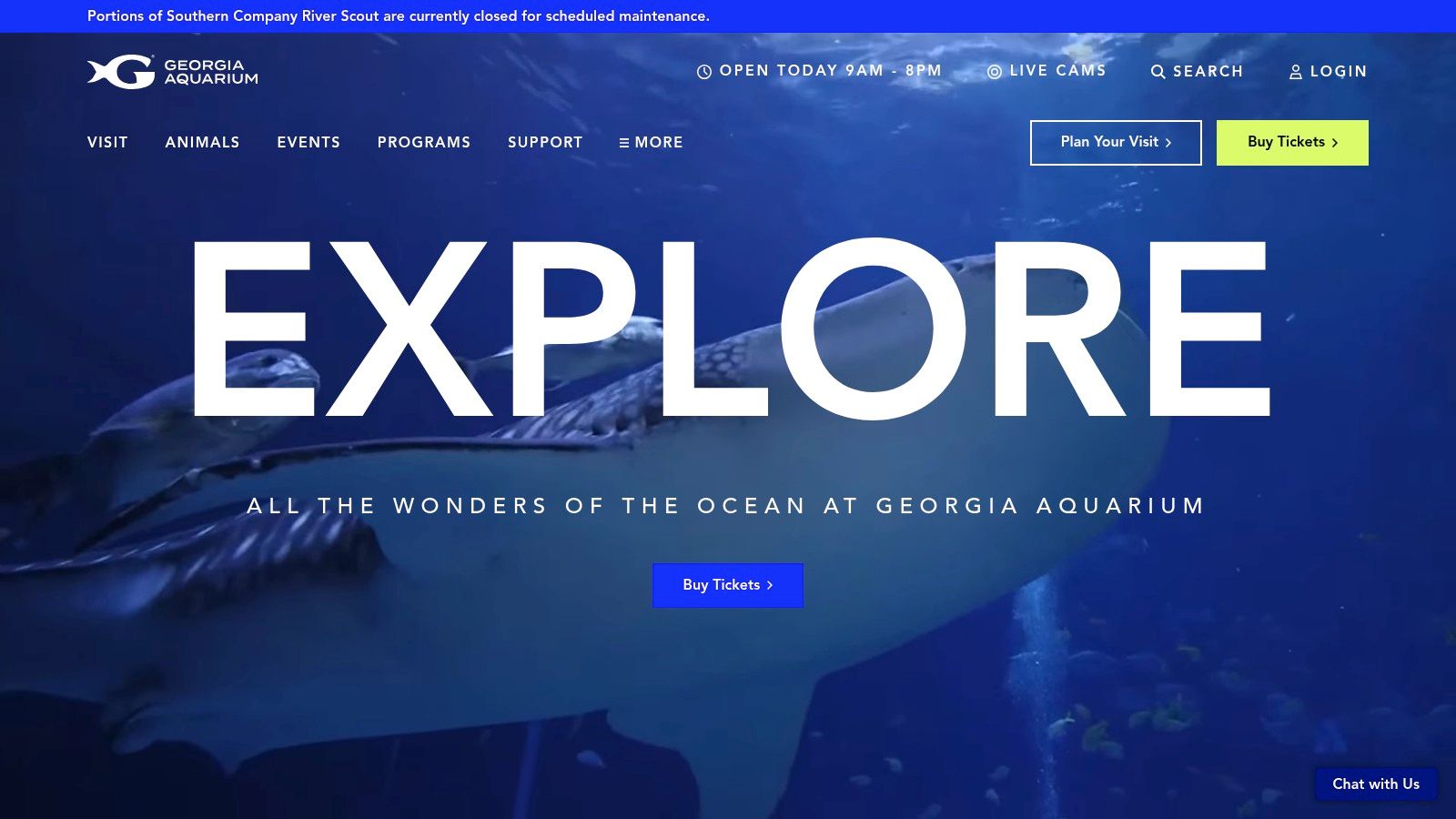 Georgia Aquarium